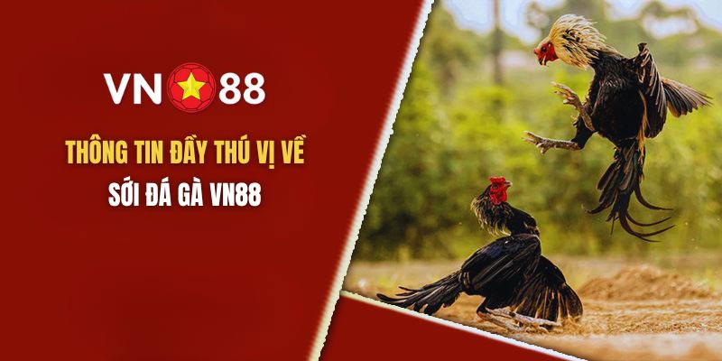 Đá gà VN88 có những kiểu đặt cược nào?